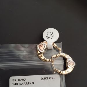 Earrings 14k gold